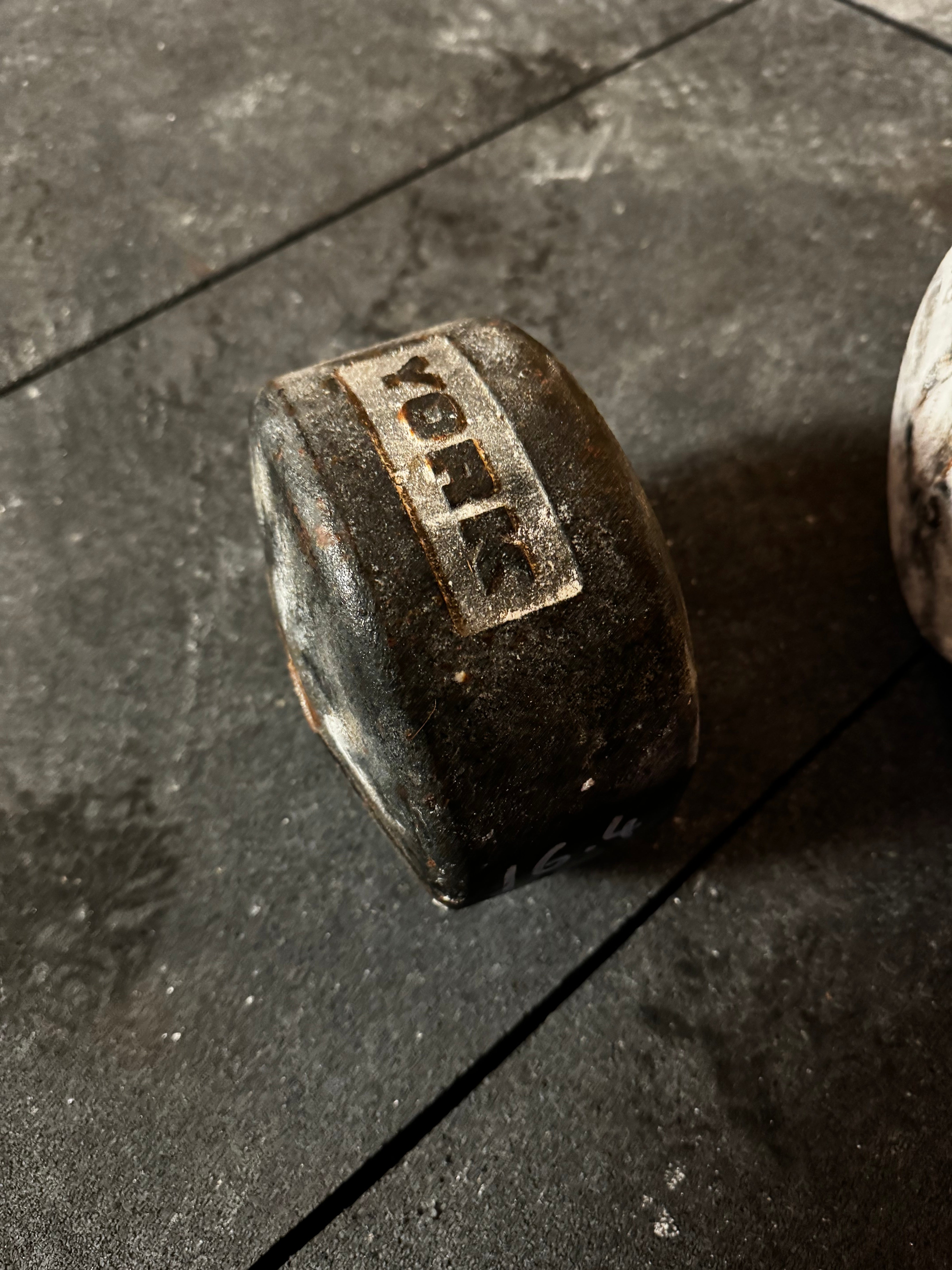 York Legacy Blob Weights