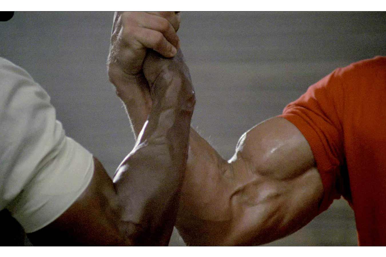 The Power Of A Strong Handshake